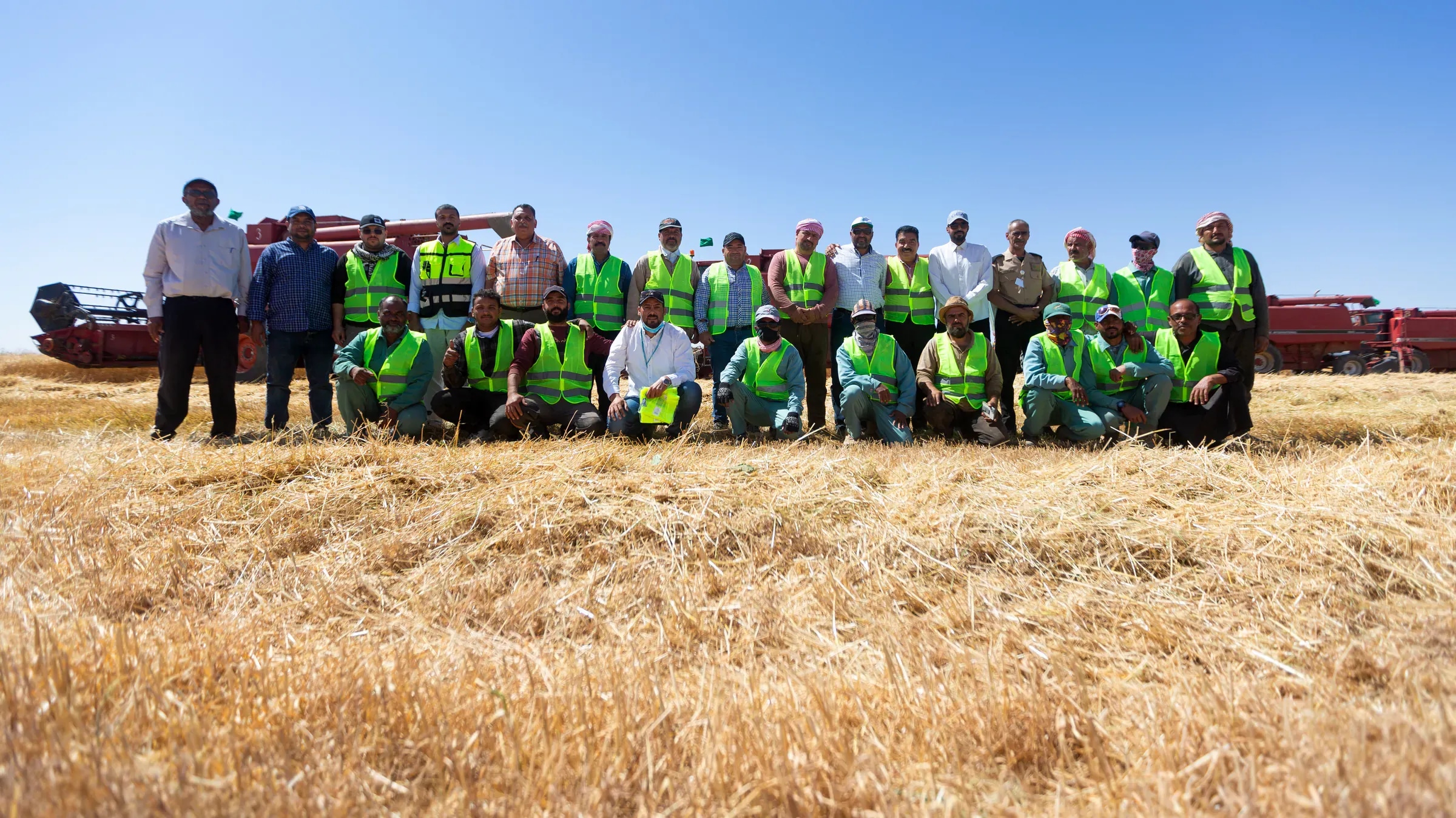 A work team standing in a Tabuk Agriculture wheat field after harvest